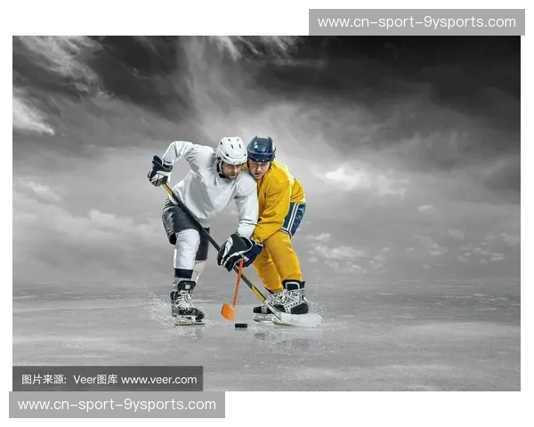 曲棍球分析：从数据看冰上智慧